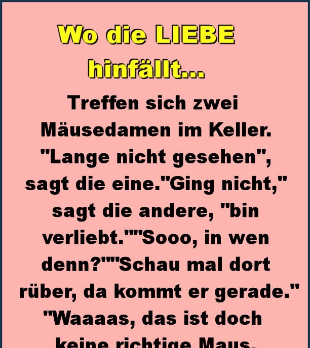 Wo die Liebe hinfällt... Facts & News