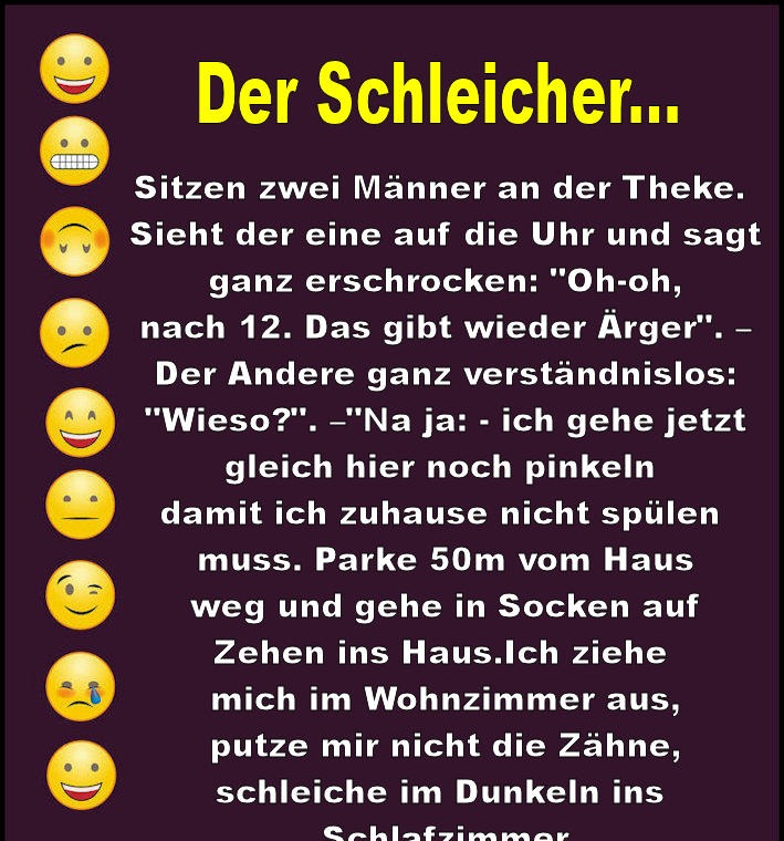 Der Schleicher Facts & News